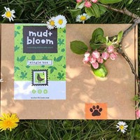 Mud & Bloom Box