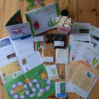 Willow & Wild Box