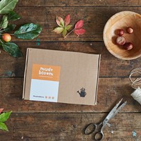 Mud & Bloom Box