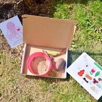 Octopus Learning Box
